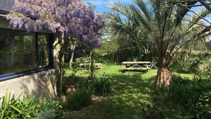 A garden with a wooden bench, a tree with purple flowers, and a house with large windows. - 4* villa with beautiful garden - 2 to 10 people (Bangor)