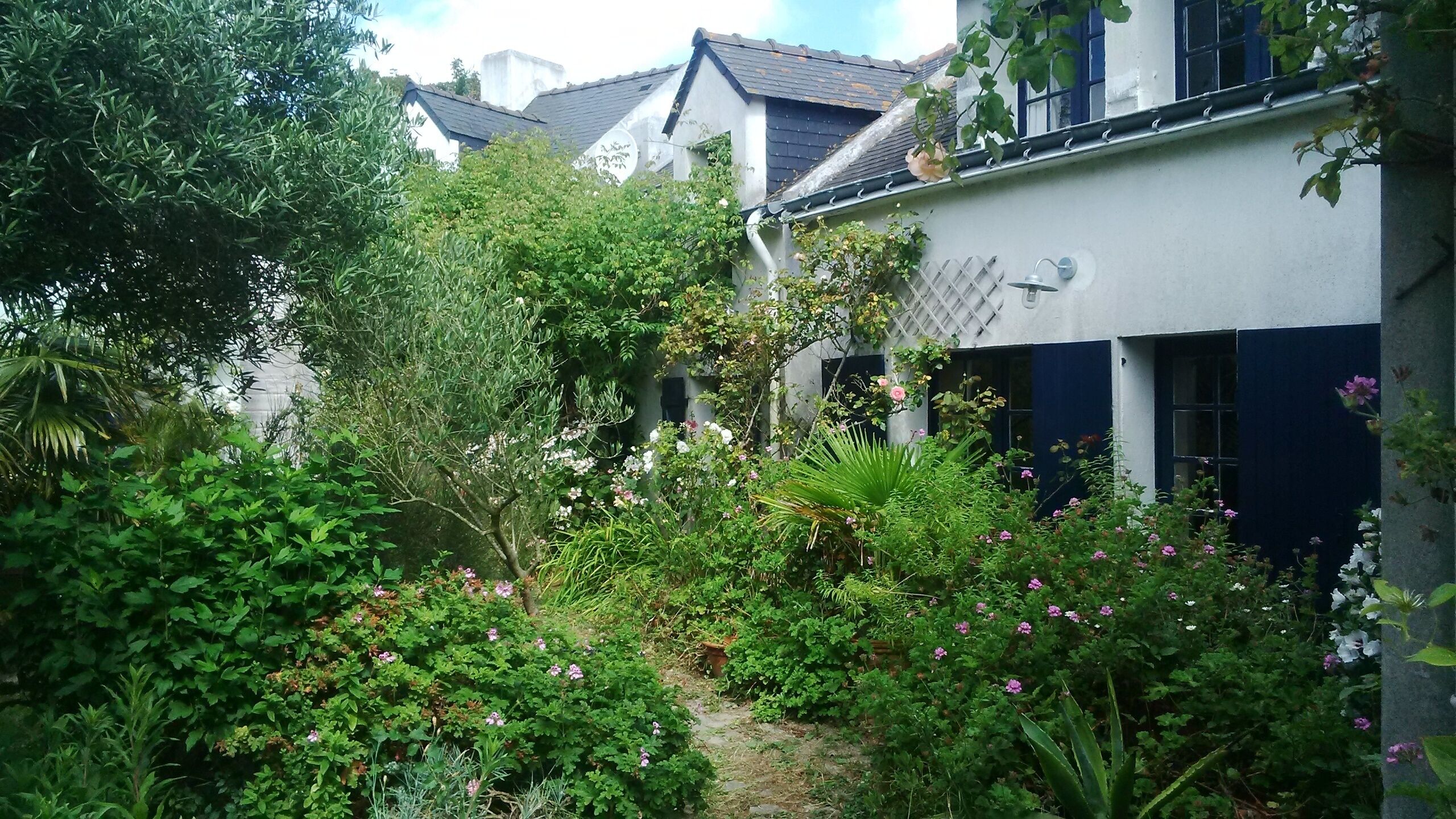 Un jardin luxuriant, avec une végétation dense et des plantes en fleurs, se trouve devant un bâtiment à la façade blanche et aux volets sombres.