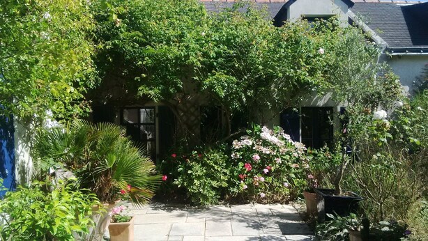 A garden with a variety of plants and flowers, a pathway, and a building in the background. - 4* villa with beautiful garden - 2 to 10 people (Bangor)