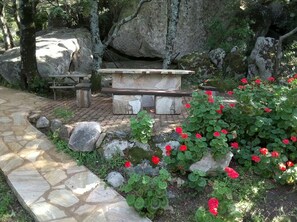 المنطقة المحيطة بالمنشأة