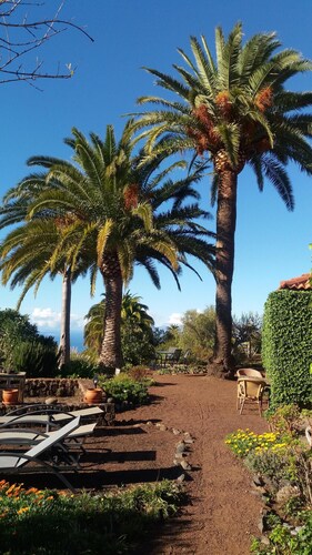 A real Canarian house created in the heartwood of the Canarian pine