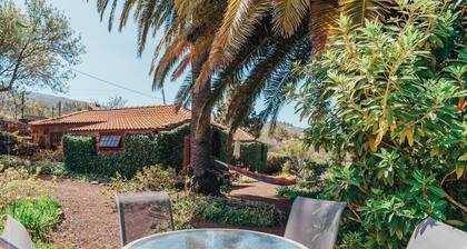 A real Canarian house created in the heartwood of the Canarian pine
