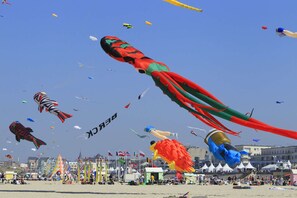 Snow and ski sports - Waterfront waterfront 5m from the beach with wifi (Berck)