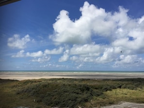 On the beach, sun-loungers