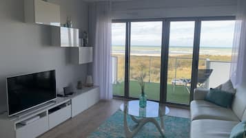 Smart TV, DVD player, books, video library