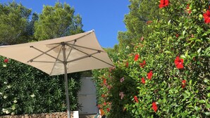A poolside area with lounge chairs and a canopy.