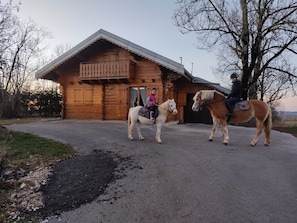 Exterior - relaxing mountain chalet (Cerniébaud)