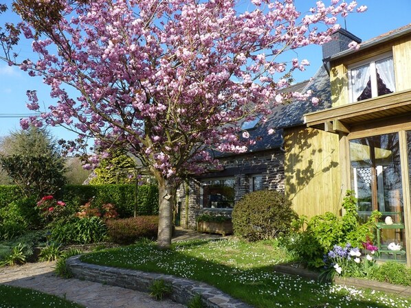 Property grounds - country house in Plestin les Grèves (Plestin-Les-Grèves)