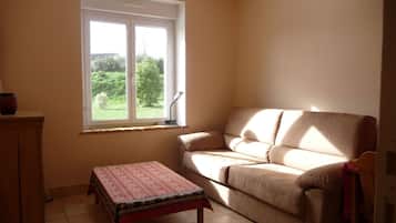 Télévision, cheminée, livres, chaßne hi-fi