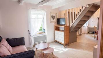 Smart TV, fireplace, books