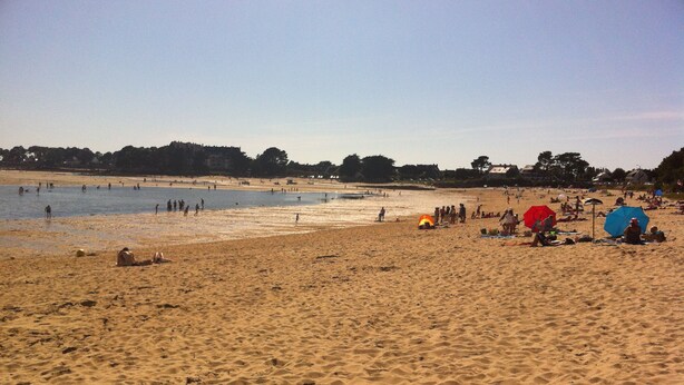 A beach with people sunbathing and swimming.