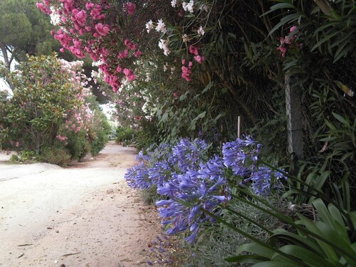 Maison avec jardin, proche de la plage, pour 2 personnes, entièrement équipée. 