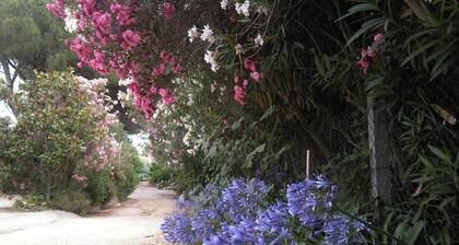 Maison avec jardin, proche de la plage, pour 2 personnes, entiÚrement équipée.