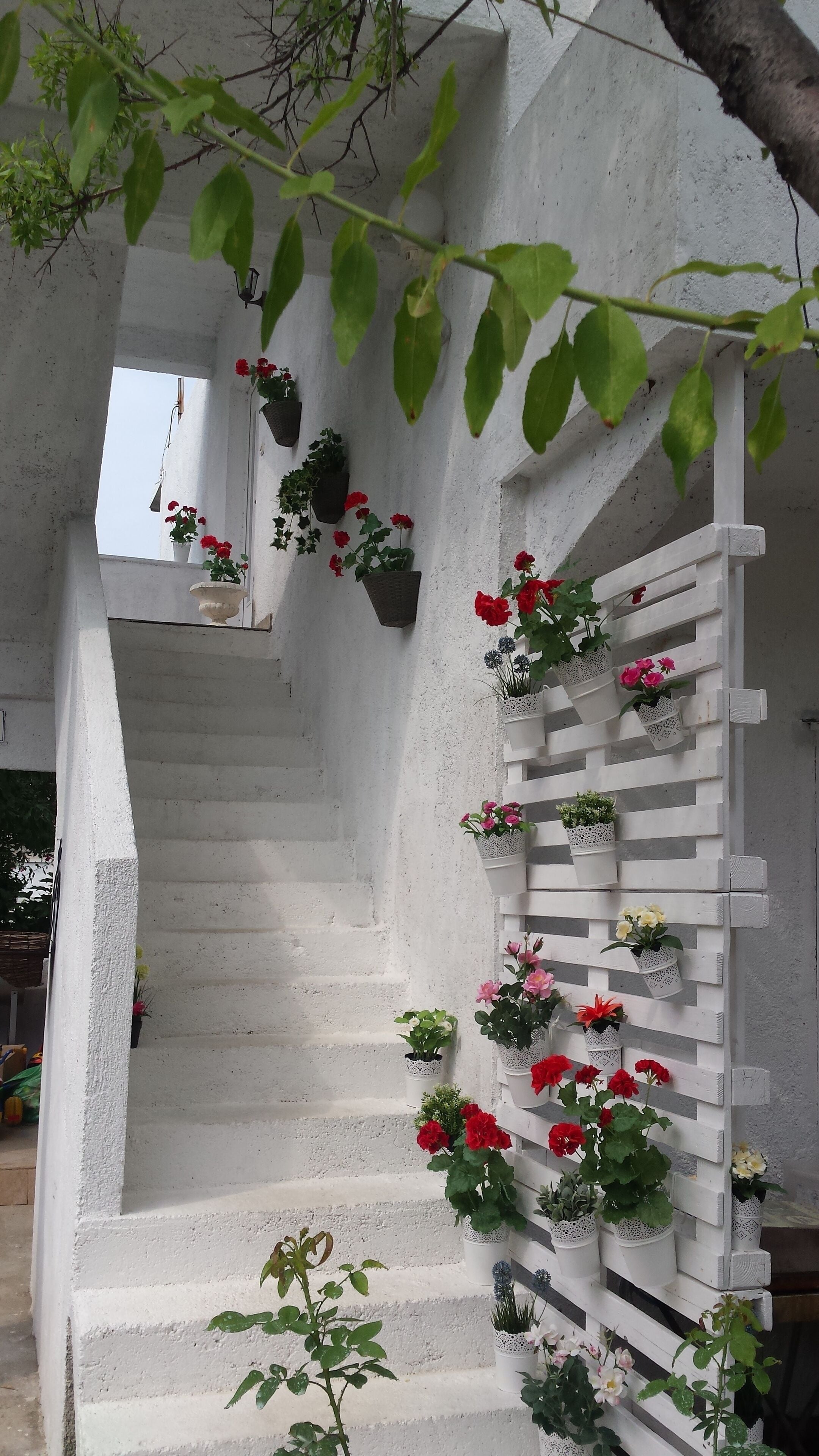 Àrea exterior de l'allotjament