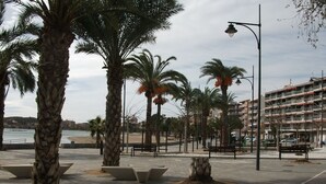 A coastal promenade with palm trees, benches, and a building labeled "CUBLES" in the background.