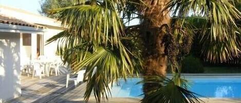 Alberca al aire libre y alberca climatizada