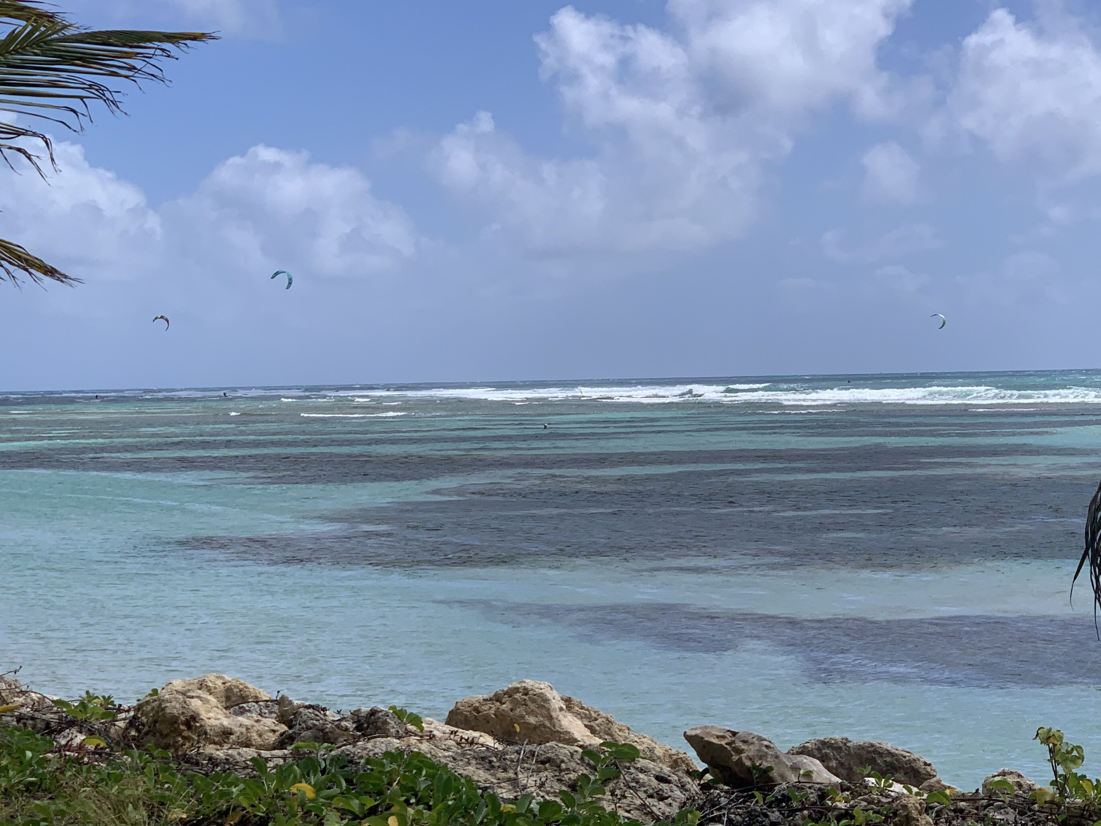 Private beach, sun loungers