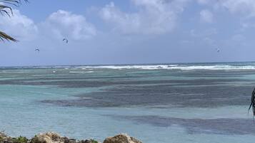Private beach, sun loungers
