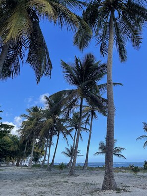 Playa privada, sillas reclinables de playa