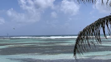 Aan een privéstrand, ligstoelen