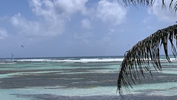 Plage privée, chaises longues