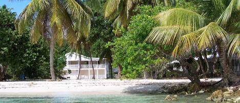 Private beach, sun-loungers