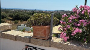 A rooftop garden with potted plants, a metal railing, and a view of the landscape.