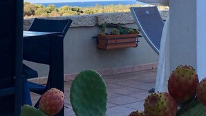 A patio with a cactus plant, a wooden planter with plants, and a view of the sea.