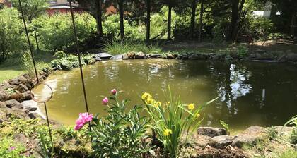 Comfort and charm in the heart of Alsace