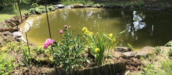 Comfort and charm in the heart of Alsace