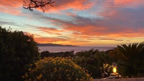 Une vue au coucher du soleil, avec un premier plan rocheux, un buisson aux fleurs jaunes et une côte lointaine.