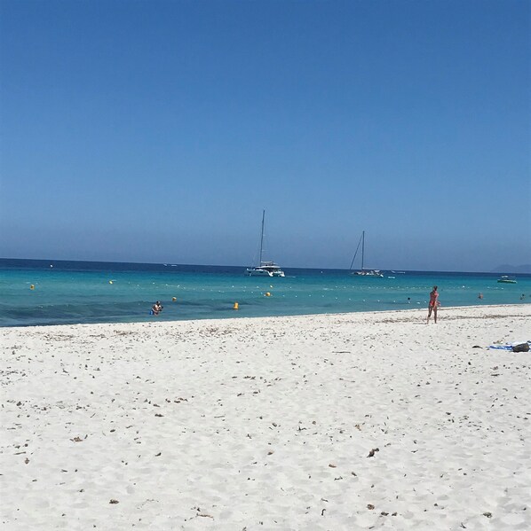 Plage, chaises longues
