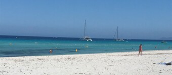 St Florent, beautiful between sea and mountain, terrace , garden, swimming pool