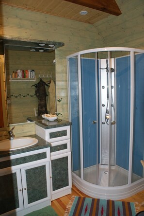 Shower, hair dryer, toilet paper