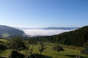 Een panoramisch uitzicht op een bergachtig landschap met een vallei, dicht bos en een heldere lucht.