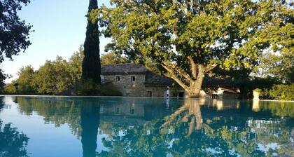 House between lavender fields and oak wood located near Grign
