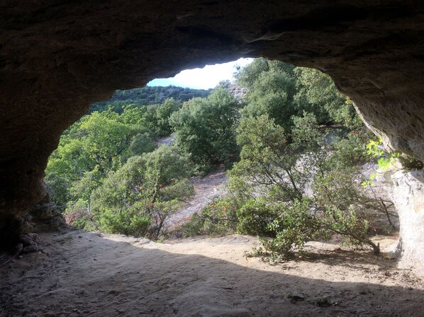 L’entrée d’une grotte, avec vue sur une colline boisée.
