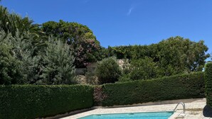A rectangular swimming pool with clear blue water, surrounded by a stone deck and lush greenery.