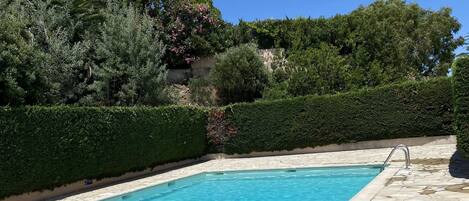 A rectangular swimming pool with clear blue water, surrounded by a stone deck and lush greenery.