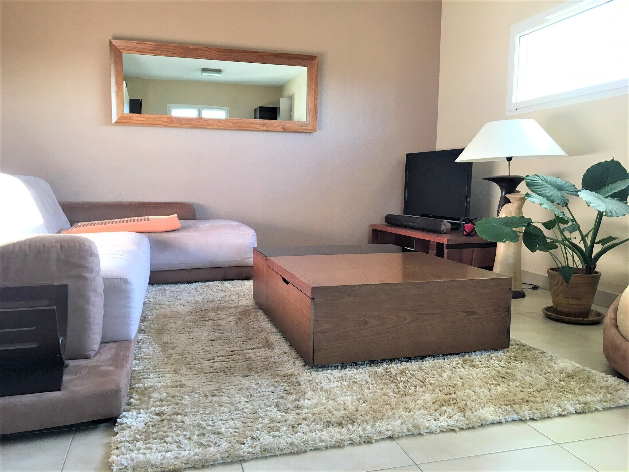 A living room with a sofa, a coffee table, a TV, and a potted plant.