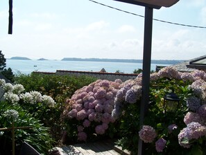 A garden with hydrangea flowers and a view of the sea.
