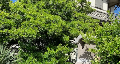 HAUS MEASIDE THE COTTAGE