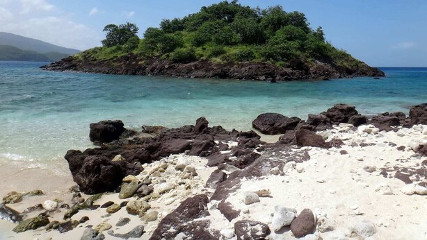 A rocky beach with clear turquoise water and a small island with lush greenery. - THE FLAMBOYING VILLA at the estate "LES LODGES DE MALENDURE" (Bouillante)