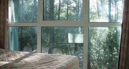 PROMO - Villa dans la pinede
