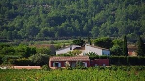 A rural house with a red roof, surrounded by lush greenery and a hill in the background.