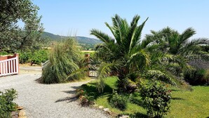 A gravel pathway leading to a gated entrance, surrounded by lush greenery including palm trees and shrubs.
