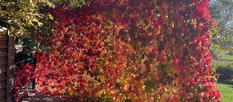 Hytte ved foten av Mont Ventoux, tilgang til funksjonshemmede, mellom Sault og Monieux