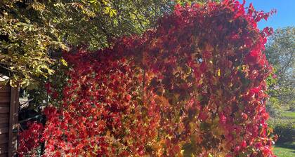 Cottage am Fuße des Mont Ventoux, behindertengerecht, zwischen Sault und Monieux