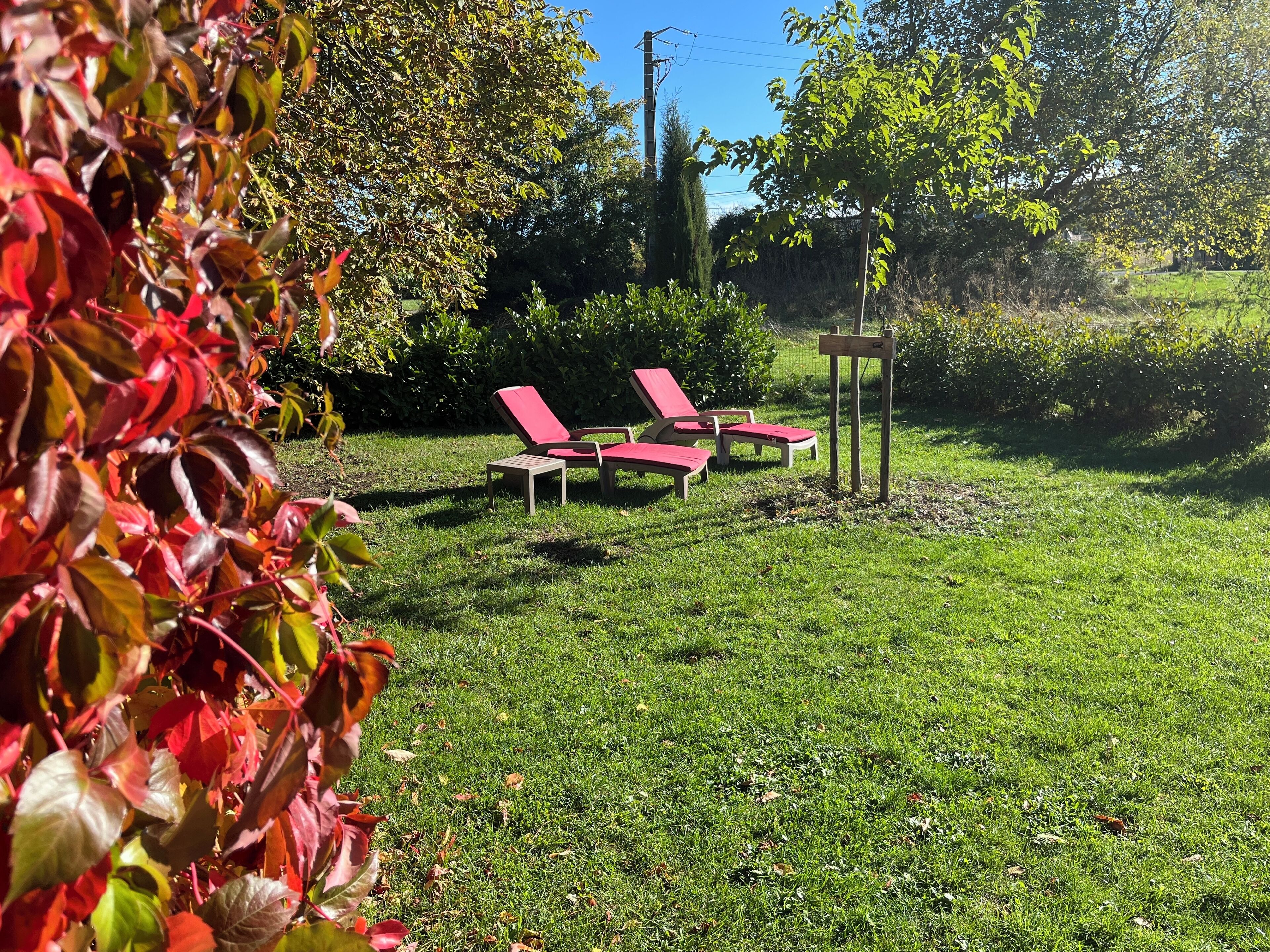 Un espace extérieur verdoyant, avec des chaises longues rouges et un panneau indicateur en bois.