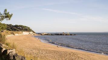 Plage, chaises longues